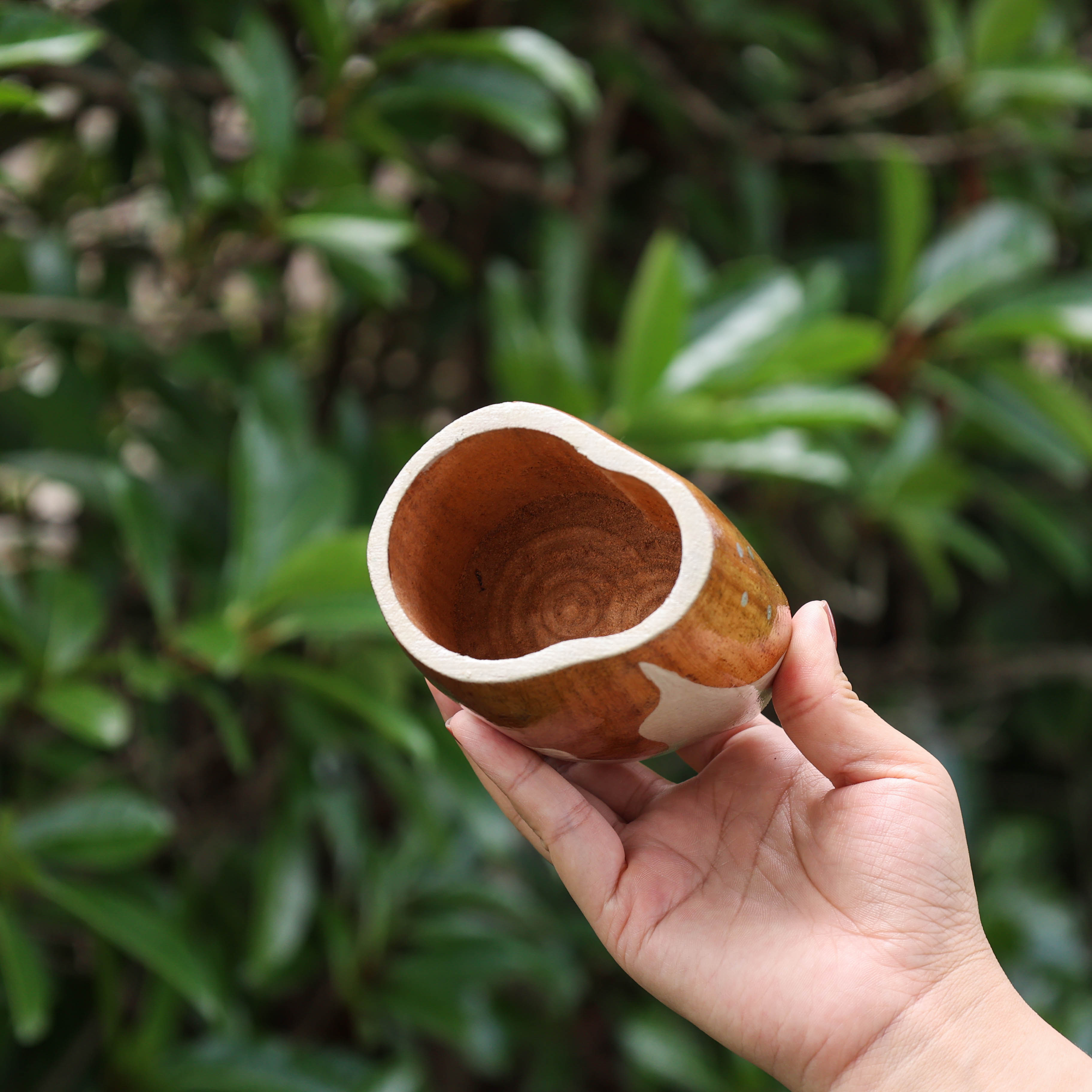 阿根廷王室款马黛茶杯  牧场风角豆木马黛茶杯#228